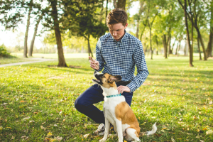The Young Professionals' Guide On How to Look After A Dog