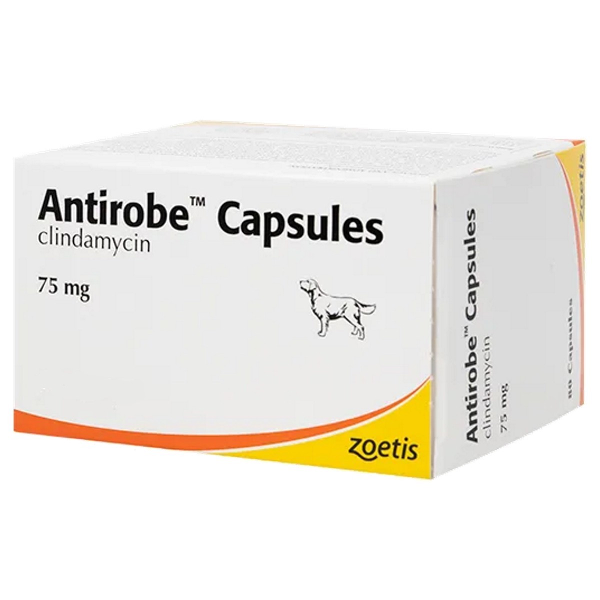 Antirobe for on sale dogs ear infection