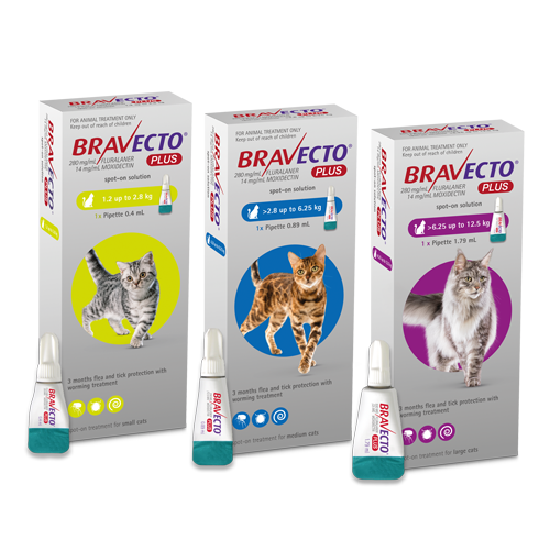 Bravecto cat sale tablet