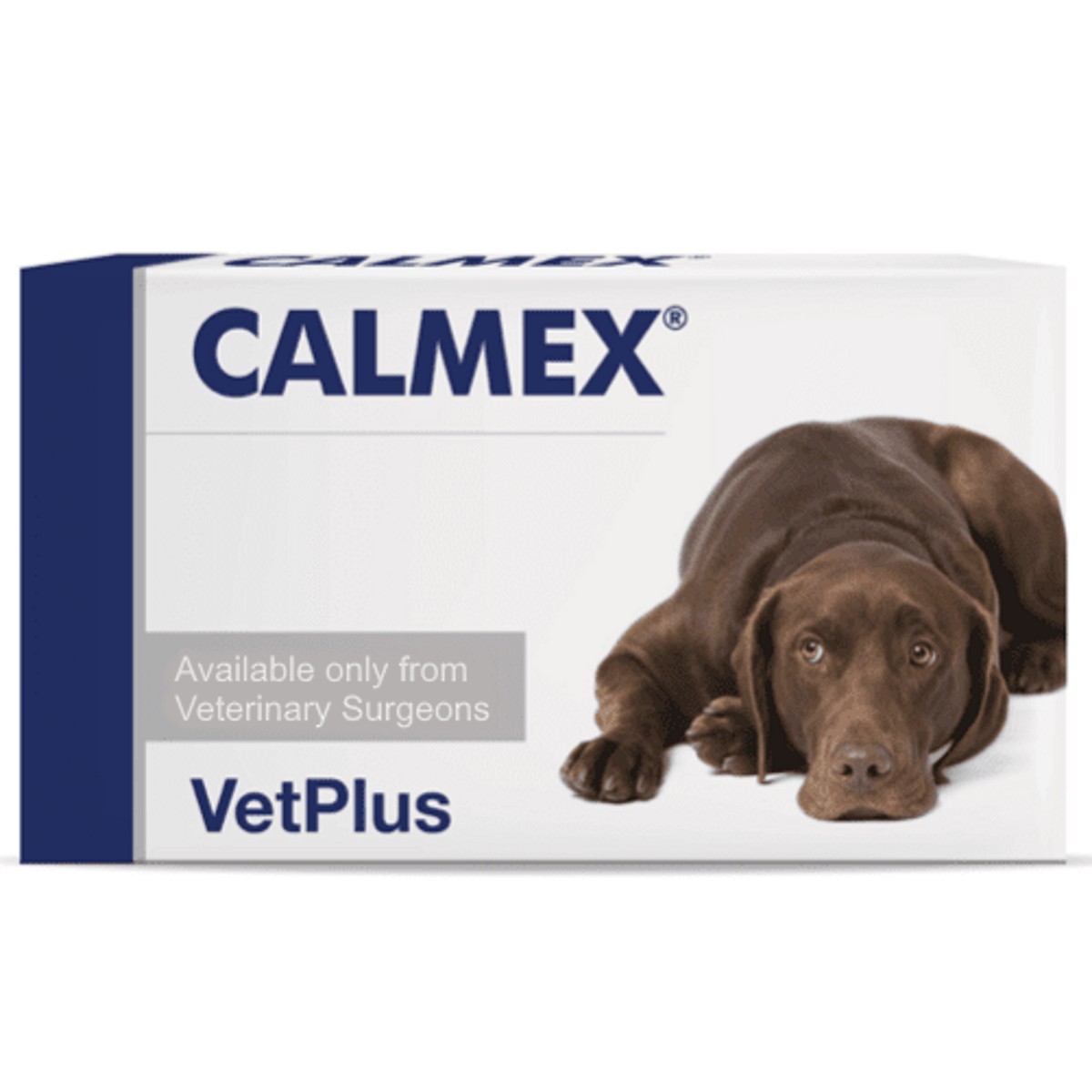 Non prescription anxiety medication for clearance dogs