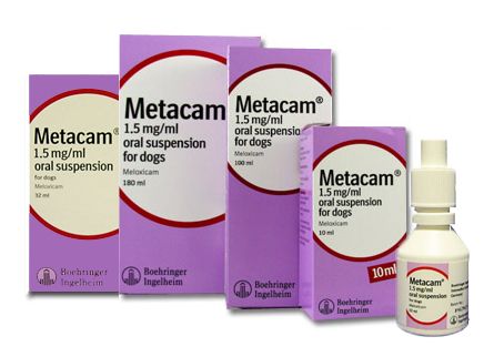 what is metacam for dogs used for