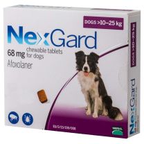 NexGard Chewable Tablets for Dogs 10-25kg - 3 Pack