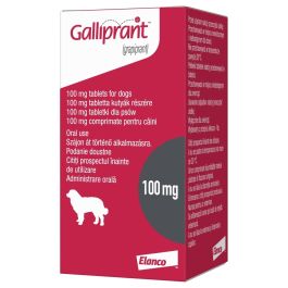 Galliprant long sale term use