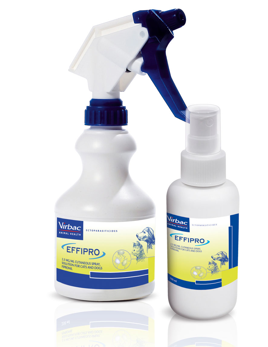 Effipro flea treatment for clearance dogs