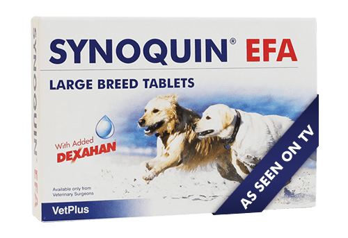 Synoquin large sale breed 120 capsules